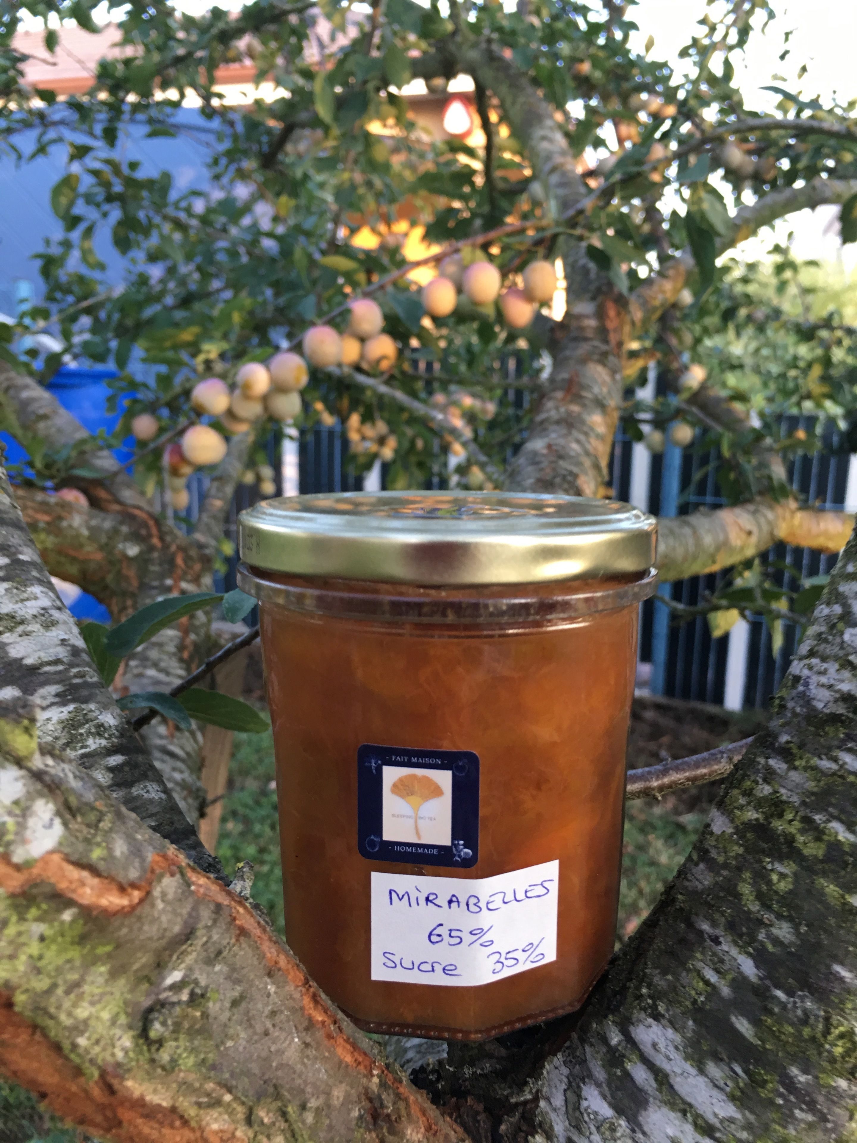 A jar of Mirabele honey with a label, placed on a tree branch.