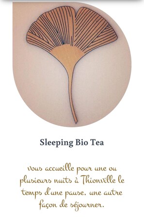 Un logotipo con un diseño en forma de abanico y el texto 'Sleeping Bio Tea'.