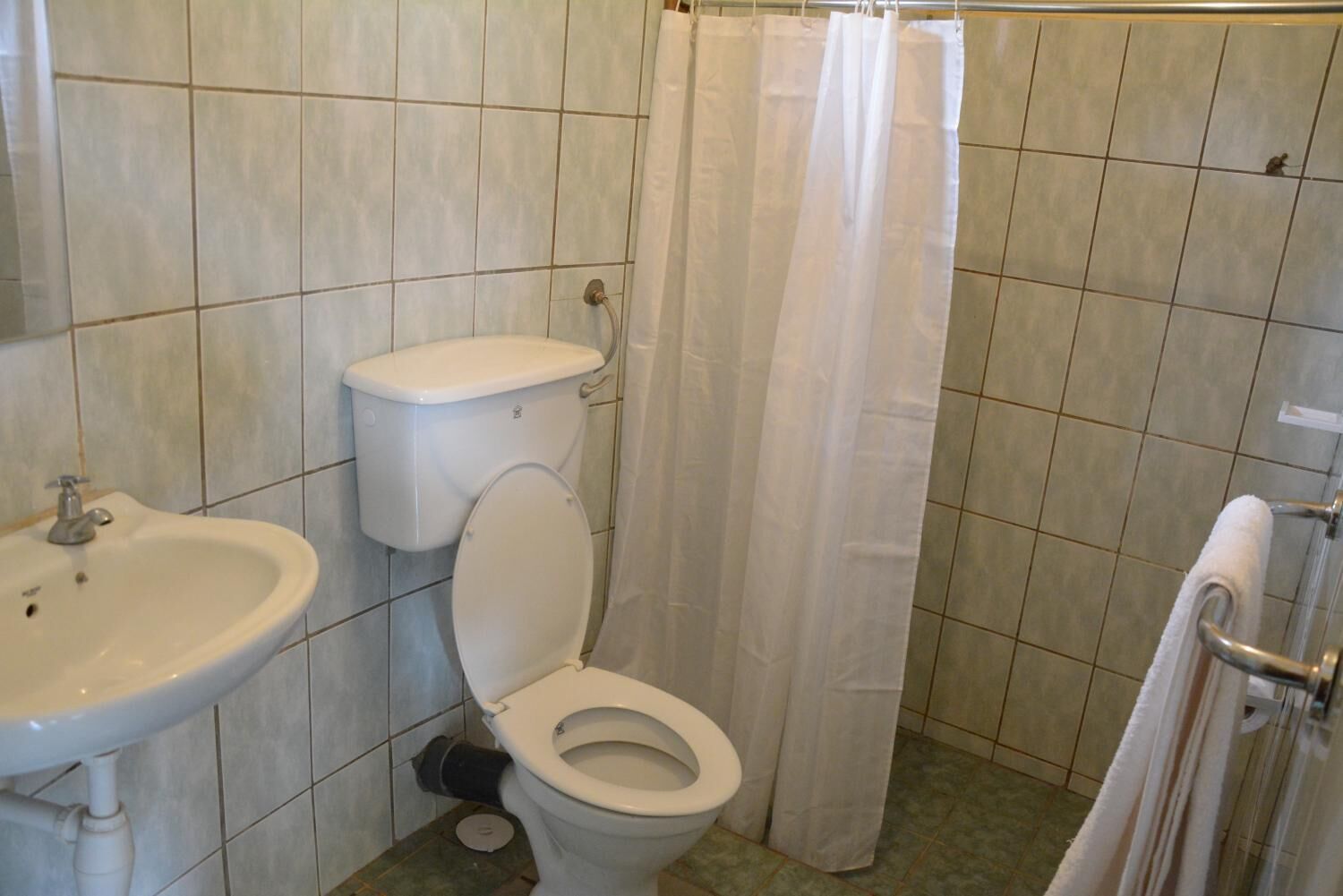 Een badkamer met toilet, wastafel en douchegordijn.