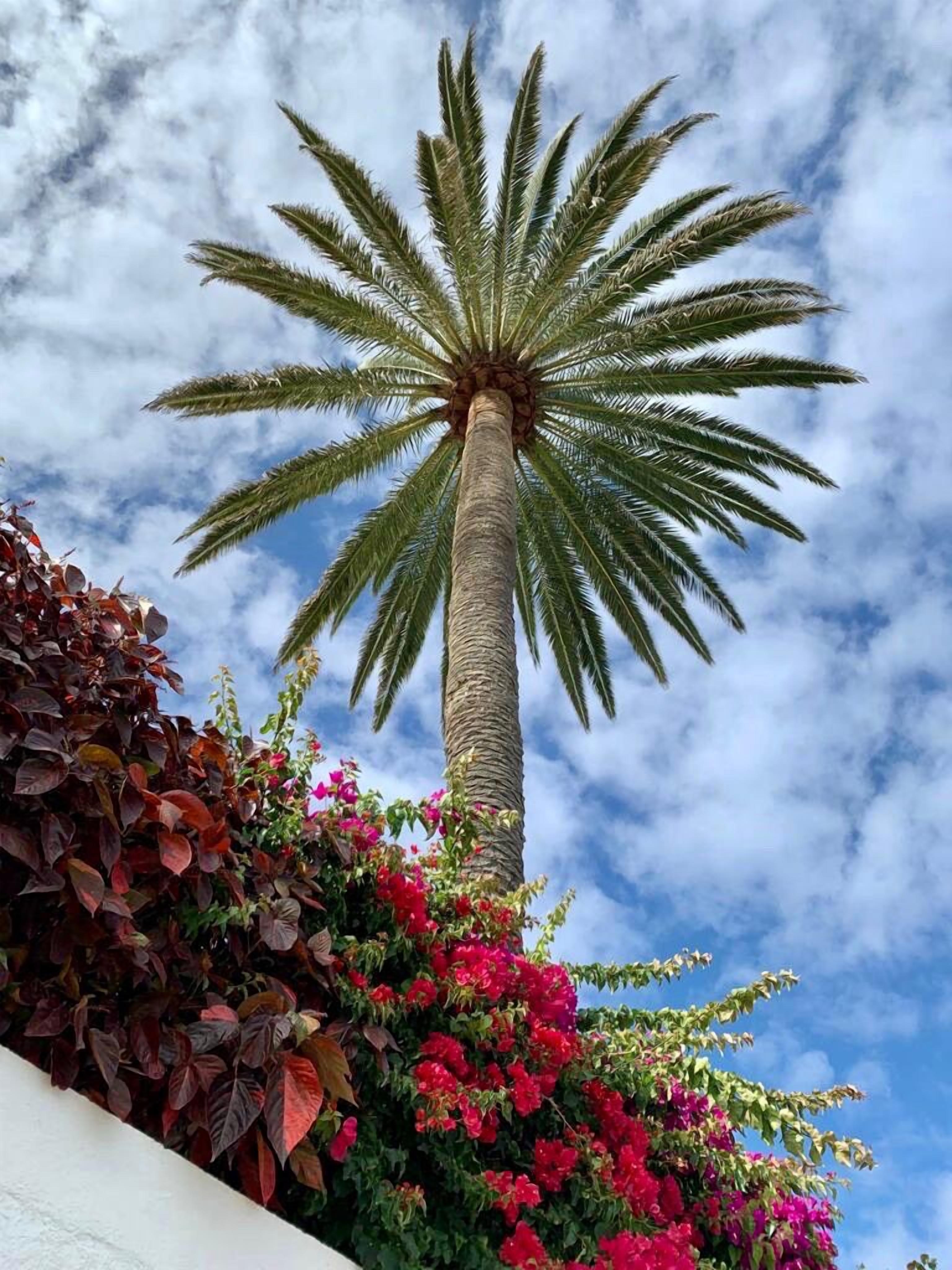 Photo - Casa Rural Malpais Trece