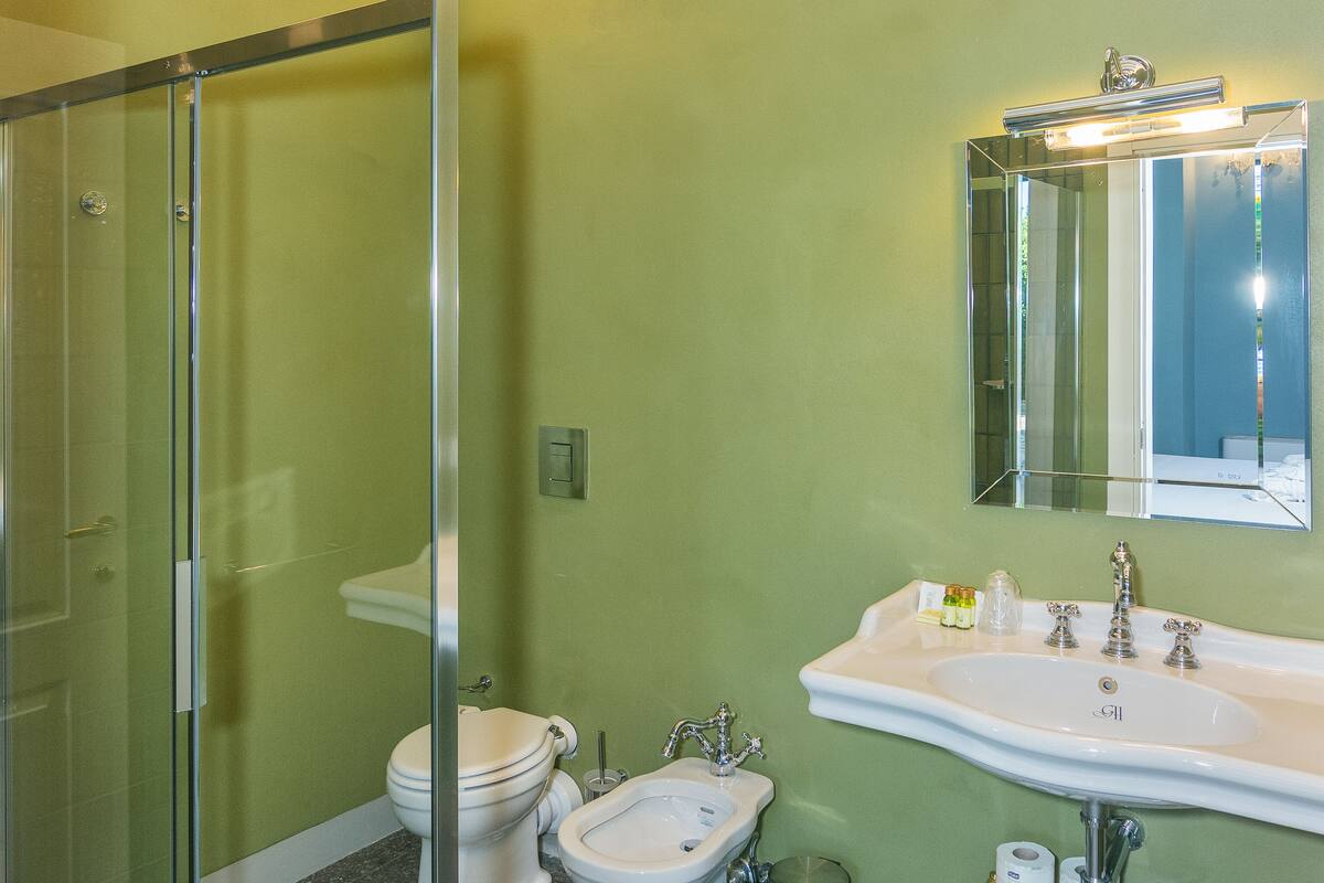 executive room | bathroom | shower, rainfall showerhead, hair dryer, bidet