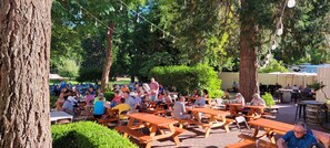 Traditional Single Room | Terrace/patio