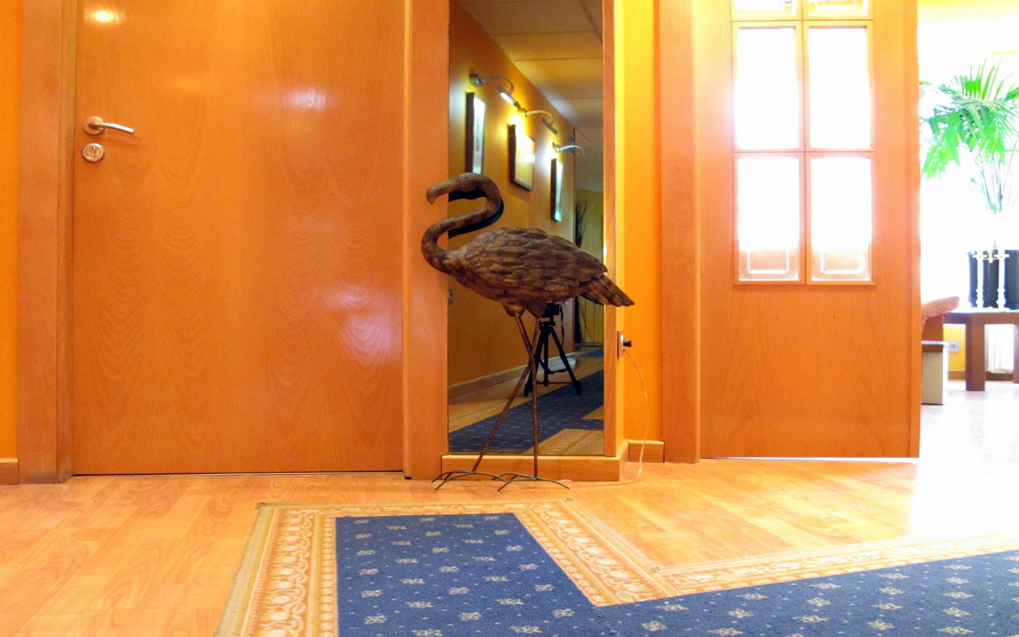 A wooden door with a keyhole and a metal handle, a blue patterned carpet, and a bird sculpture on a tripod stand in a hallway with wooden flooring and framed pictures on the wall.
