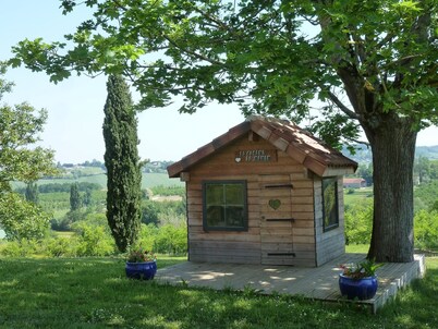 Domaine de Calbiac - On the boardwalk