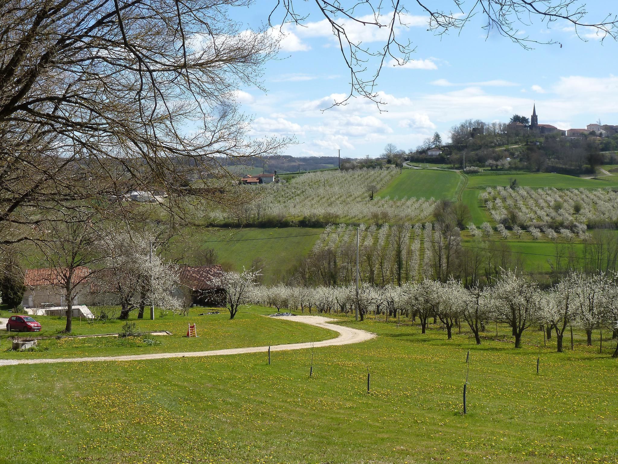 Un paisaje rural con un camino serpenteante, árboles florecientes e iglesia a lo lejos.