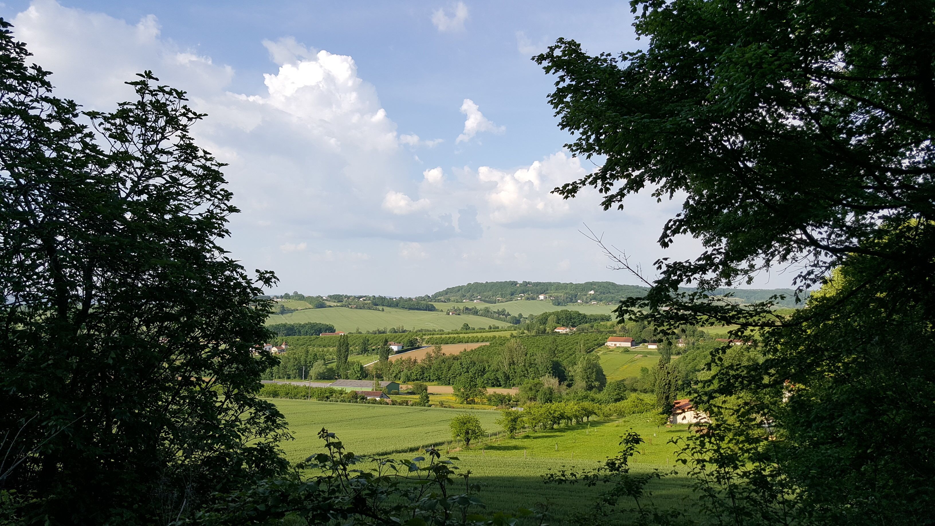A rural landscape with rolling hills, scattered houses, and dense foliage.