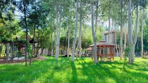 A serene park with a gazebo, a wooden structure, and a small building surrounded by tall trees and lush green grass. - Sun Spring Hotel Dunhuang (Dunhuang)