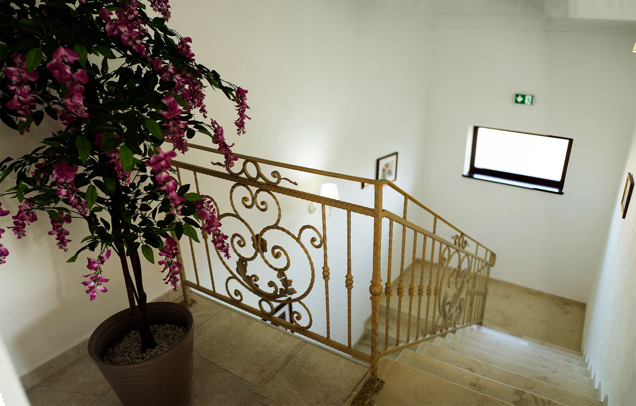 A staircase with a wrought iron railing and a potted flowering plant.