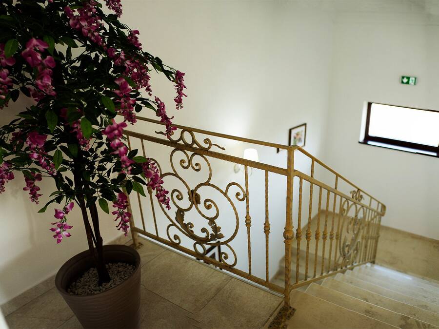 A staircase with a wrought iron railing and a potted flowering plant.