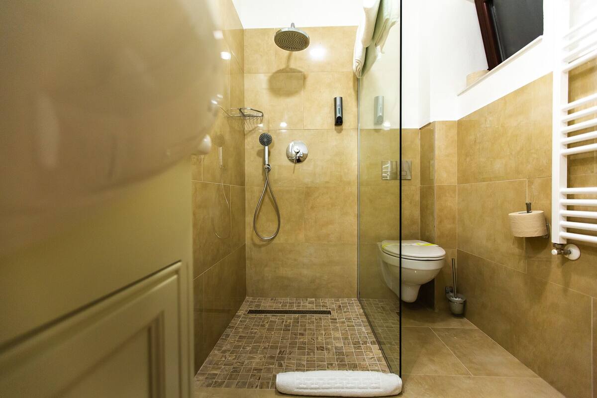 A small, tiled shower area with a glass door, a handheld showerhead, a handheld massager, and a toilet with a paper towel holder.