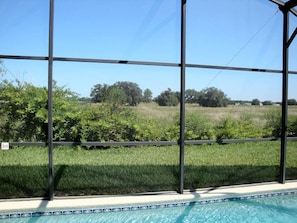 Property grounds - 4BR 3BA Home in Indian Creek by CV-2673 (Kissimmee)