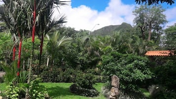Jardin