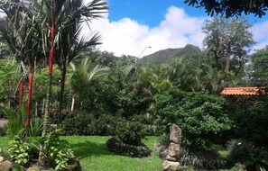 A lush garden with various tropical plants, a stone structure, and a mountain in the background.