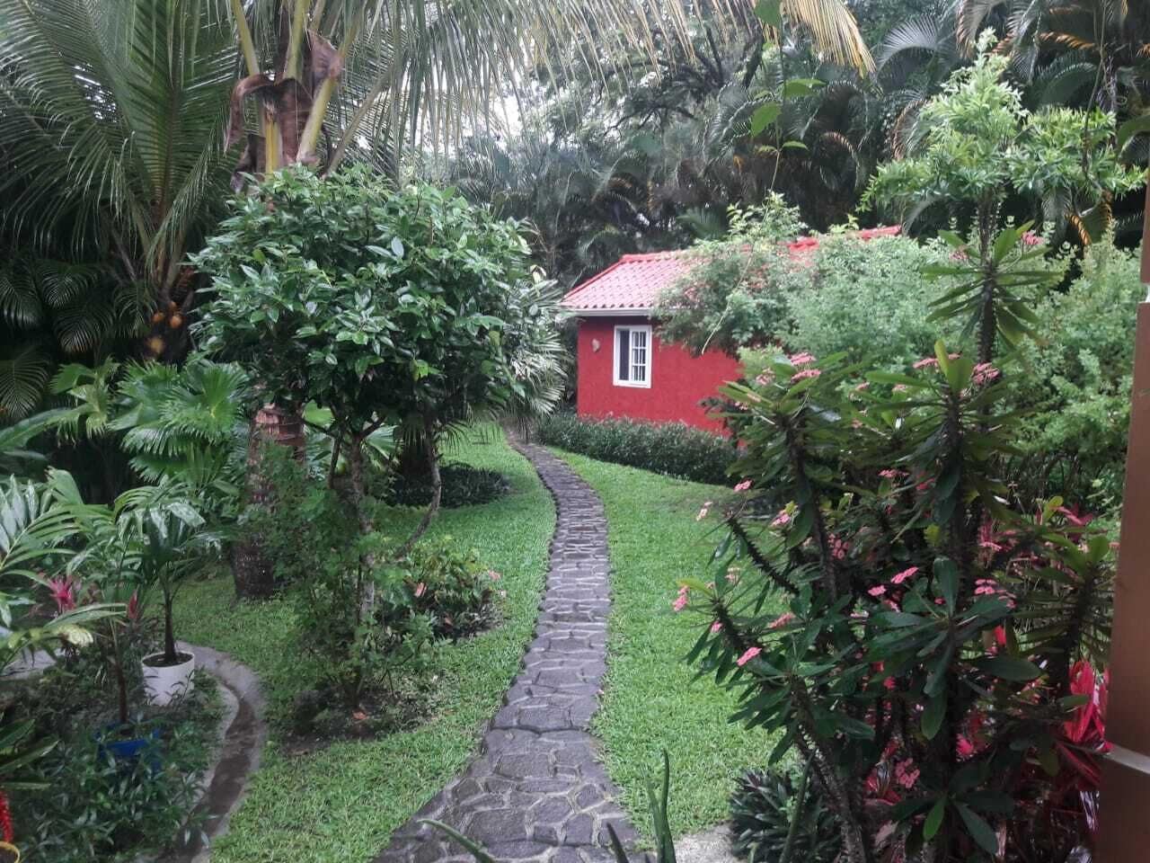 Puutarha
