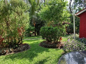A lush garden with various plants and a small red building. - Cabaña Villa Victoria (El Valle de Anton)