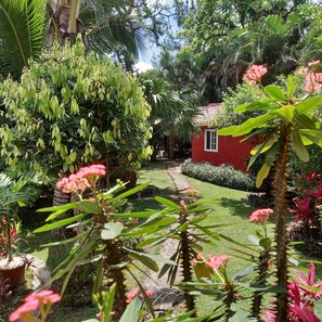A lush garden with a variety of plants and a small red building with a window. - Cabaña Villa Victoria (El Valle de Anton)