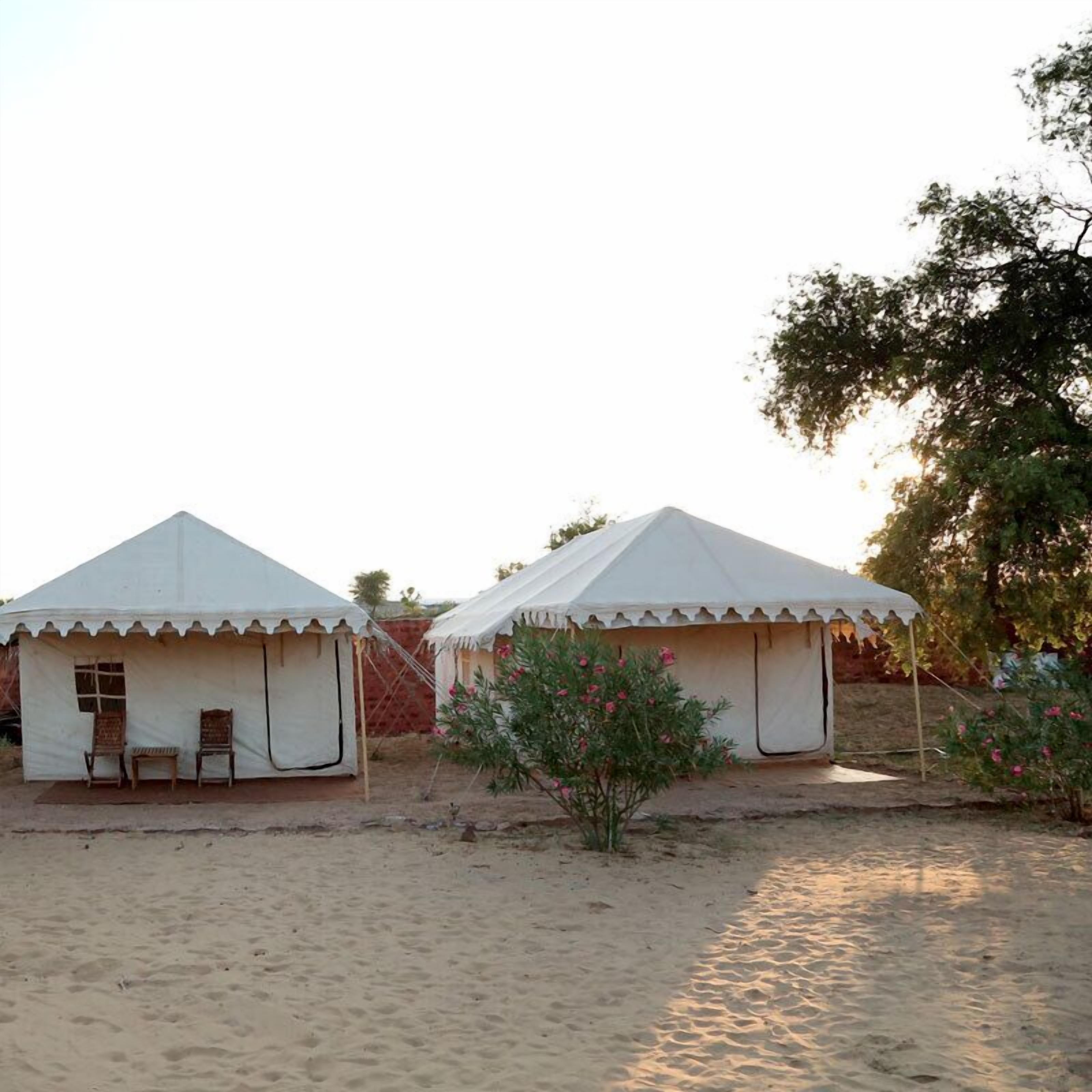 럭셔리 텐트 | 20 개의 침실, 객실 내 금고, 각각 다른 스타일의 인테리어, 각각 다르게 가구 비치