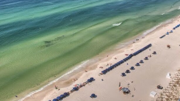 An aerial view of a beach with rows of umbrellas and beach chairs, indicating a beach resort setting. - Dunes of Panama 2 Bedroom Apartment (Panama City Beach)