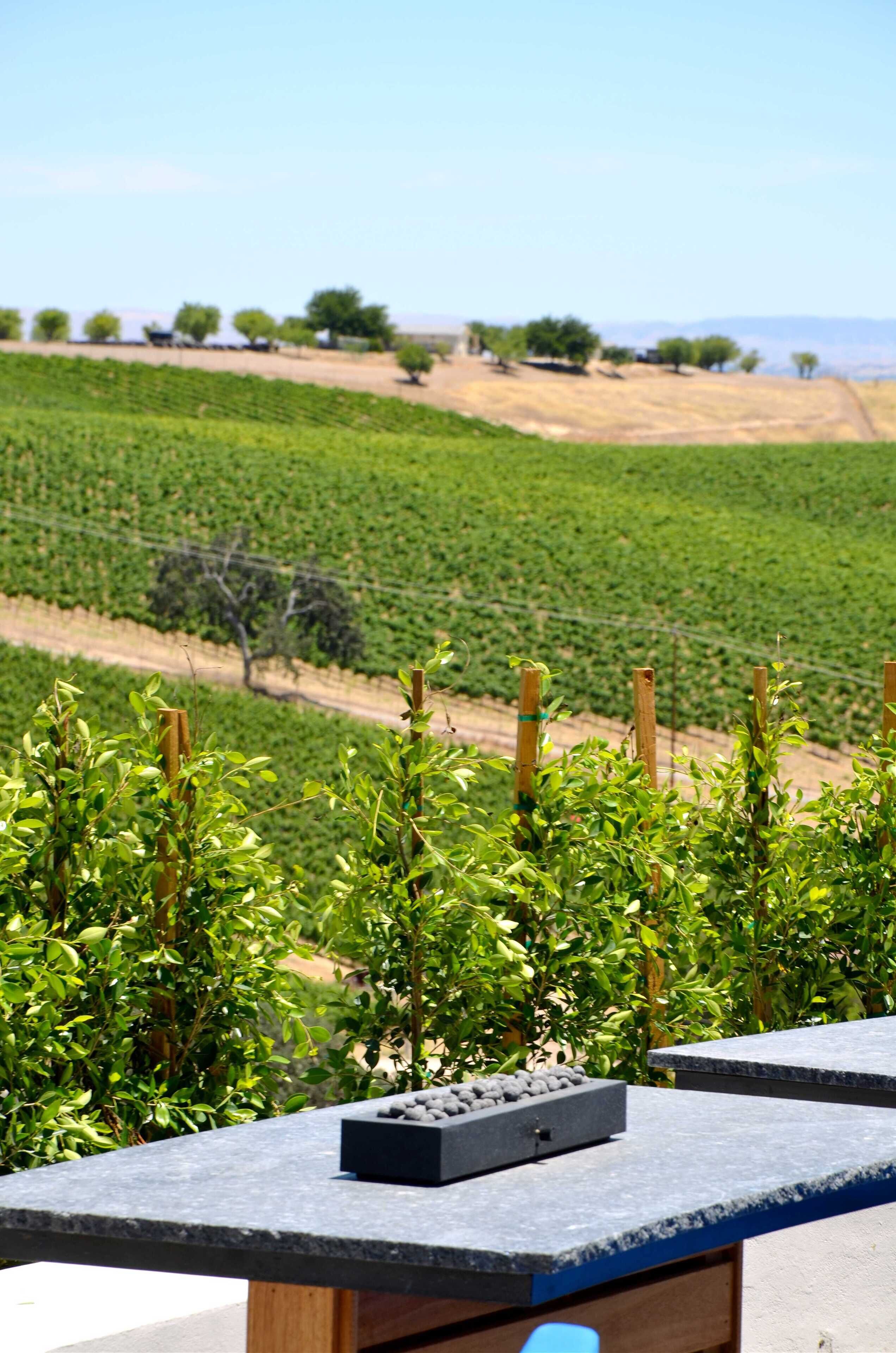 テイスティング ルーム