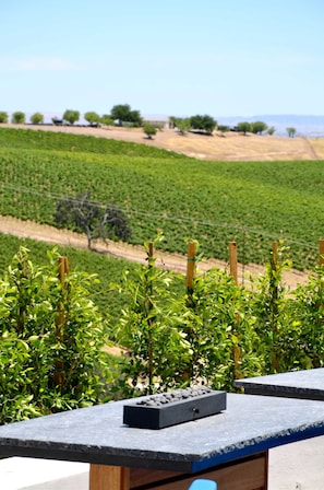 Tasting room - Sirena Vineyard Resort (Paso Robles)