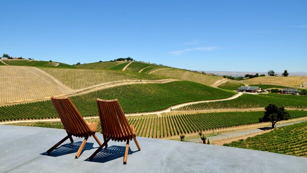 A vineyard landscape with rows of grapevines, a paved area with two wooden chairs, and a clear blue sky. - Sirena Resort (Paso Robles)