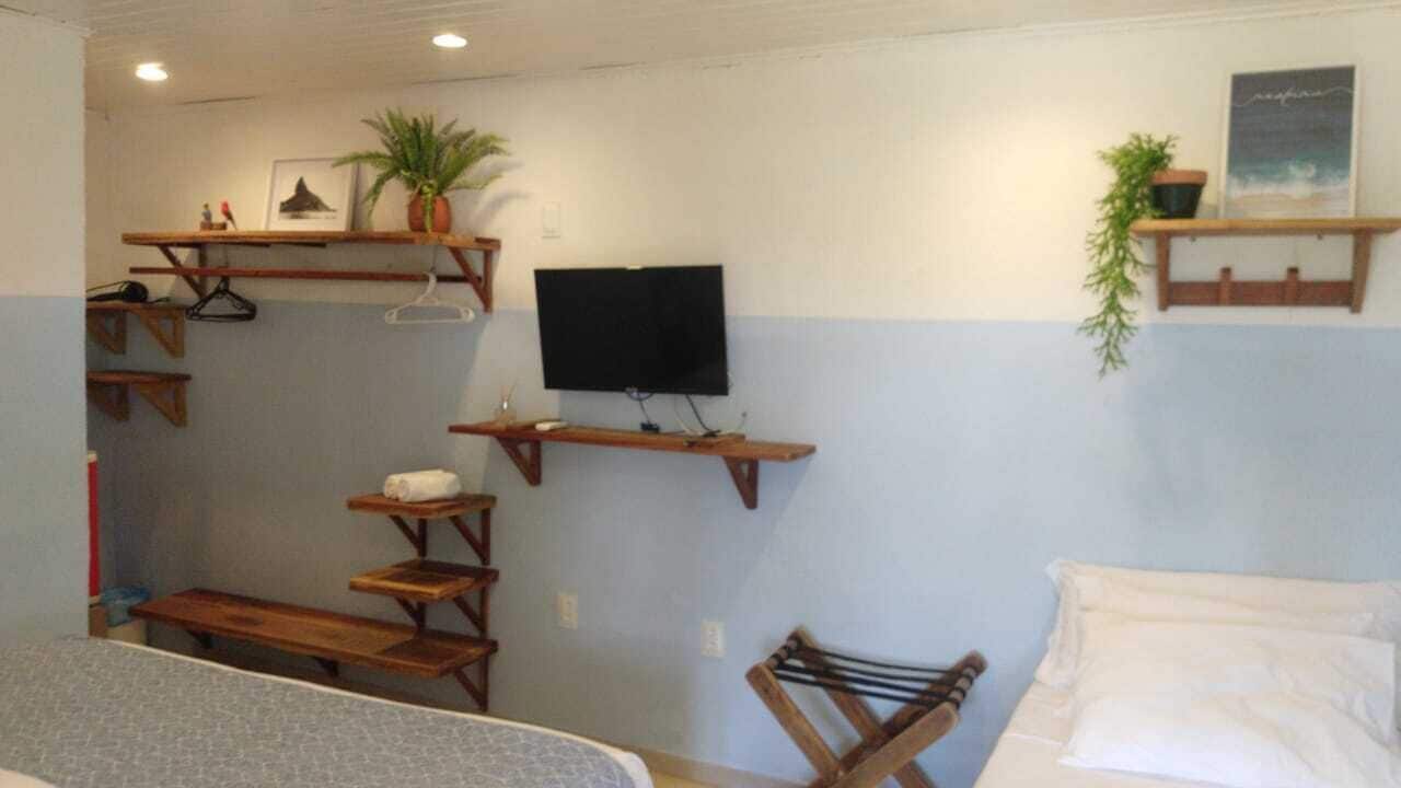 Ein Zimmer mit einem Bett, einem an der Wand montierten Fernseher, Holzregalen mit Pflanzen und einem kleinen Tisch.