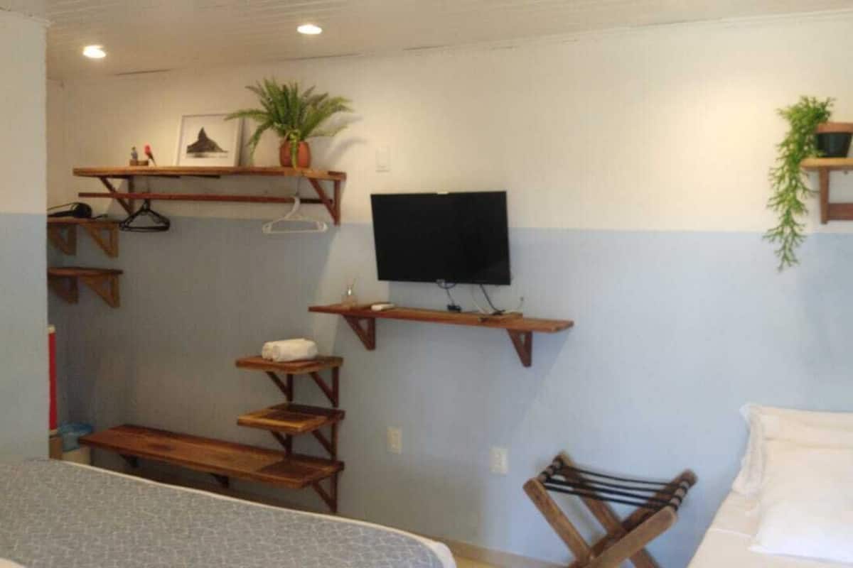 A room with a bed, a TV mounted on the wall, wooden shelves with plants, and a small table.