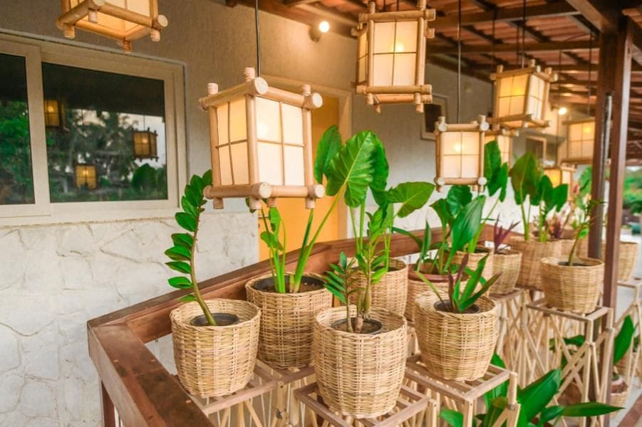 Wicker planters with green plants on a wooden table.