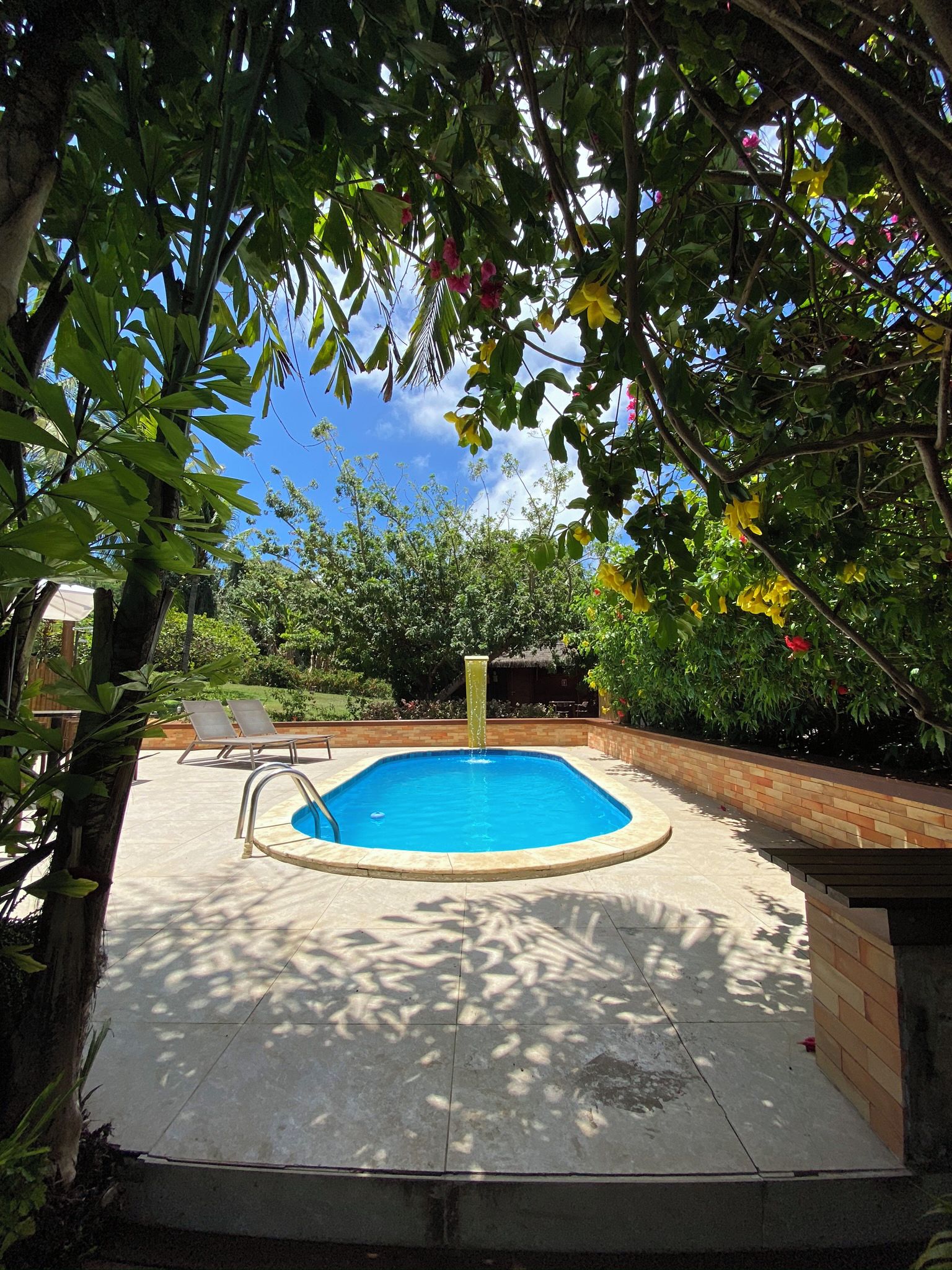 A rectangular swimming pool with a ladder, surrounded by a brick border, under a tree canopy.