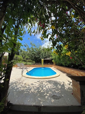 A rectangular swimming pool with a ladder, surrounded by a brick border, under a tree canopy.