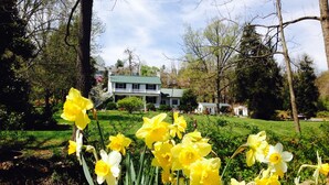 A house with a green roof, surrounded by trees and a garden with yellow daffodils. - Inn at Monticello (Charlottesville)