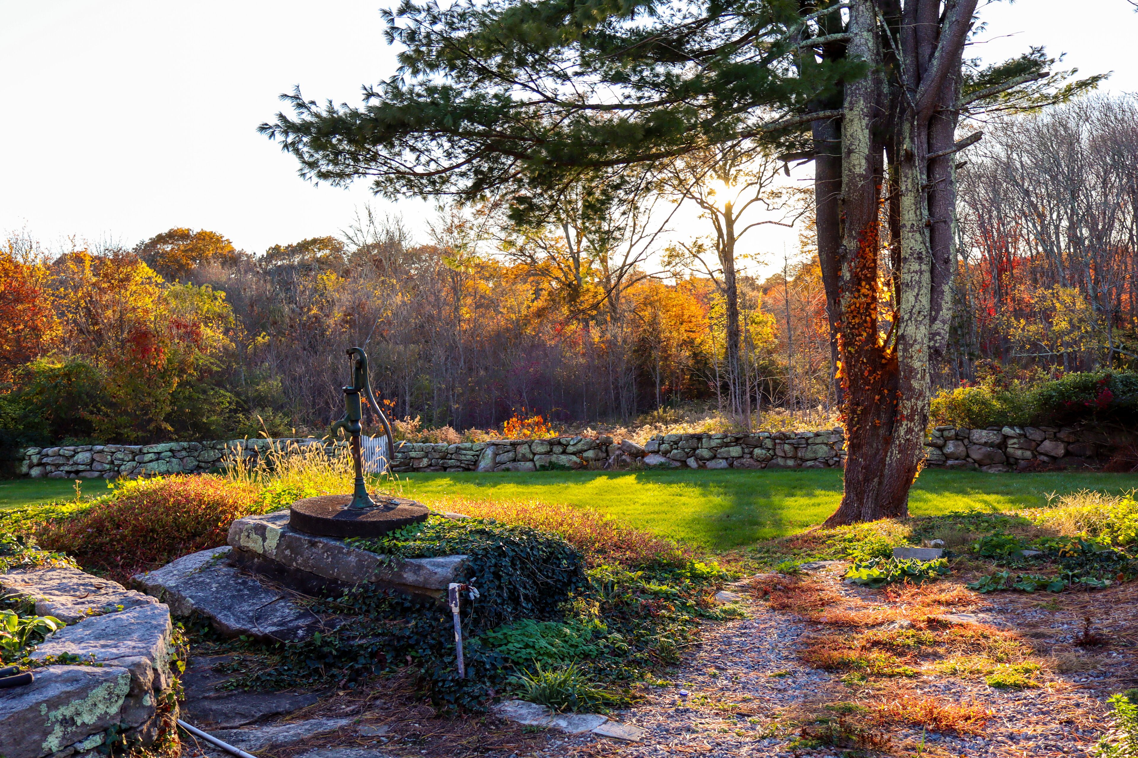 A stone pathway leading to a fountain in a garden with autumn foliage.