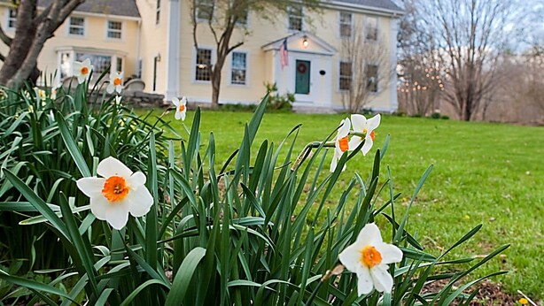 A house with a front lawn and daffodils in the foreground. - Stonecroft Inn (Ledyard)