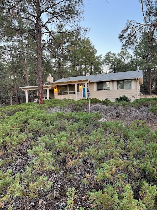 Ein Bungalow mit Veranda, umgeben von dichtem Wald.