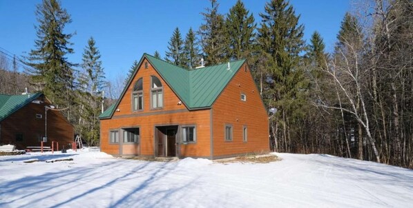 Una cabaña de madera con techo verde, rodeada de nieve y árboles.