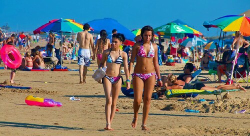 Relax In Our Luxurious Contemporary Beach Condo next to Clayton's Bar and Grill