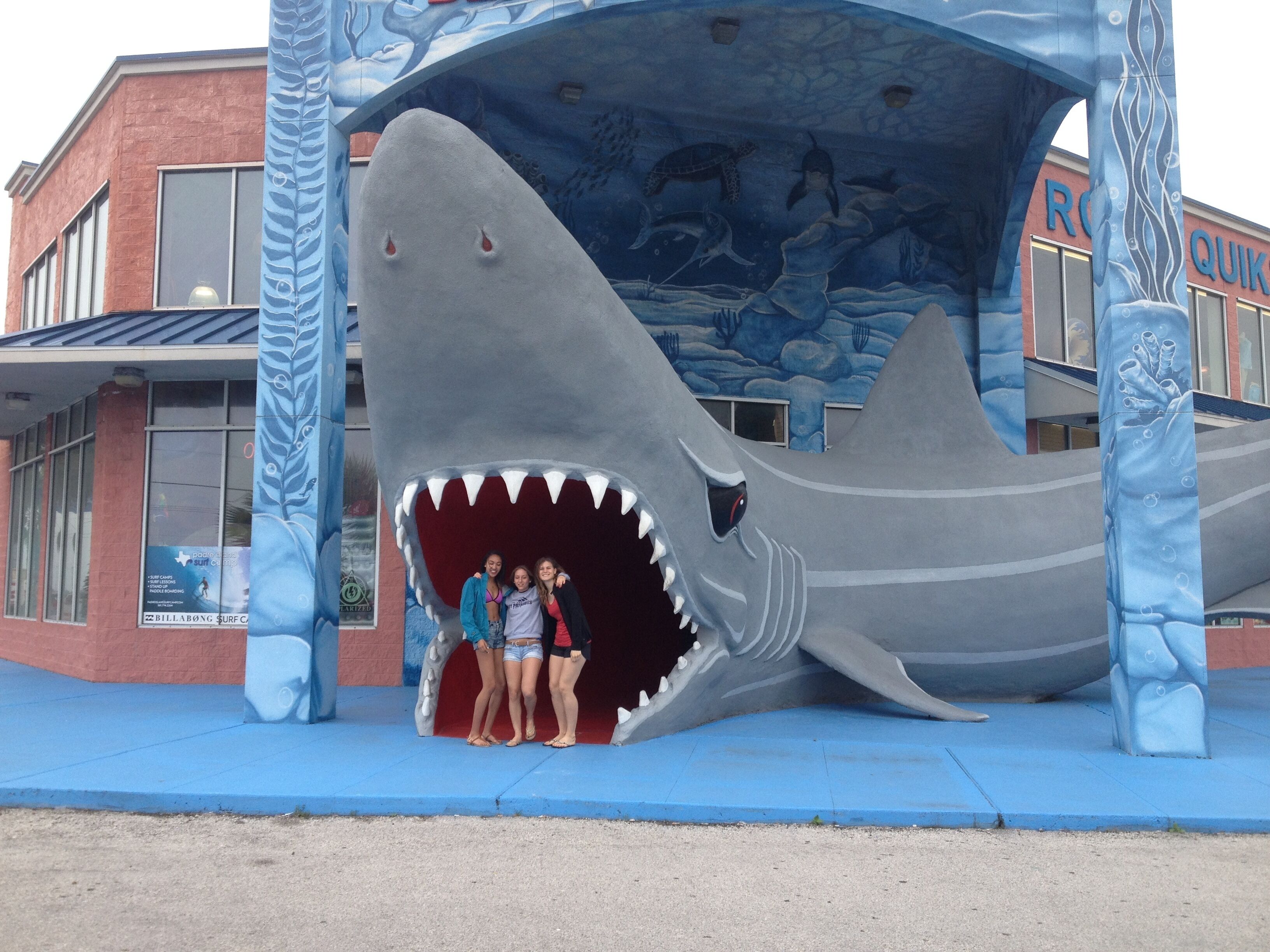 A shark-shaped structure with a mural of ocean life on its back, located in front of a building with a sign that reads "ROQUET".