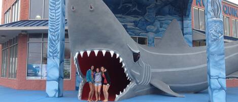 A shark-shaped structure with a mural of ocean life on its back, located in front of a building with a sign that reads "ROQUET".