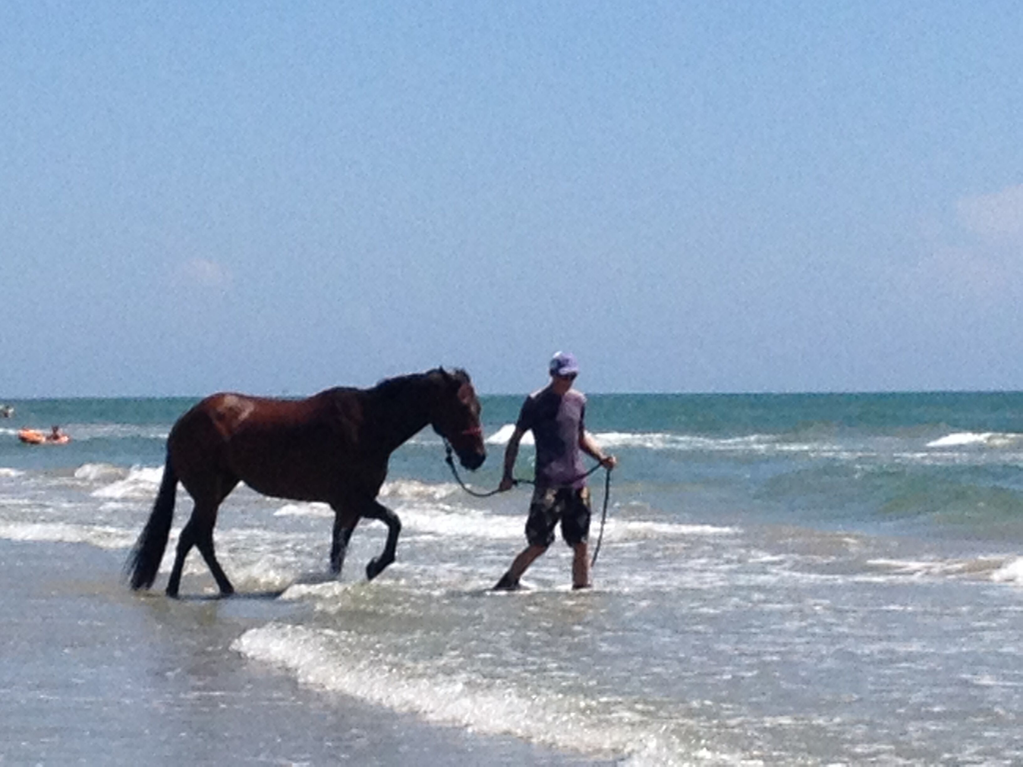 A person leading a horse along a beach with waves.