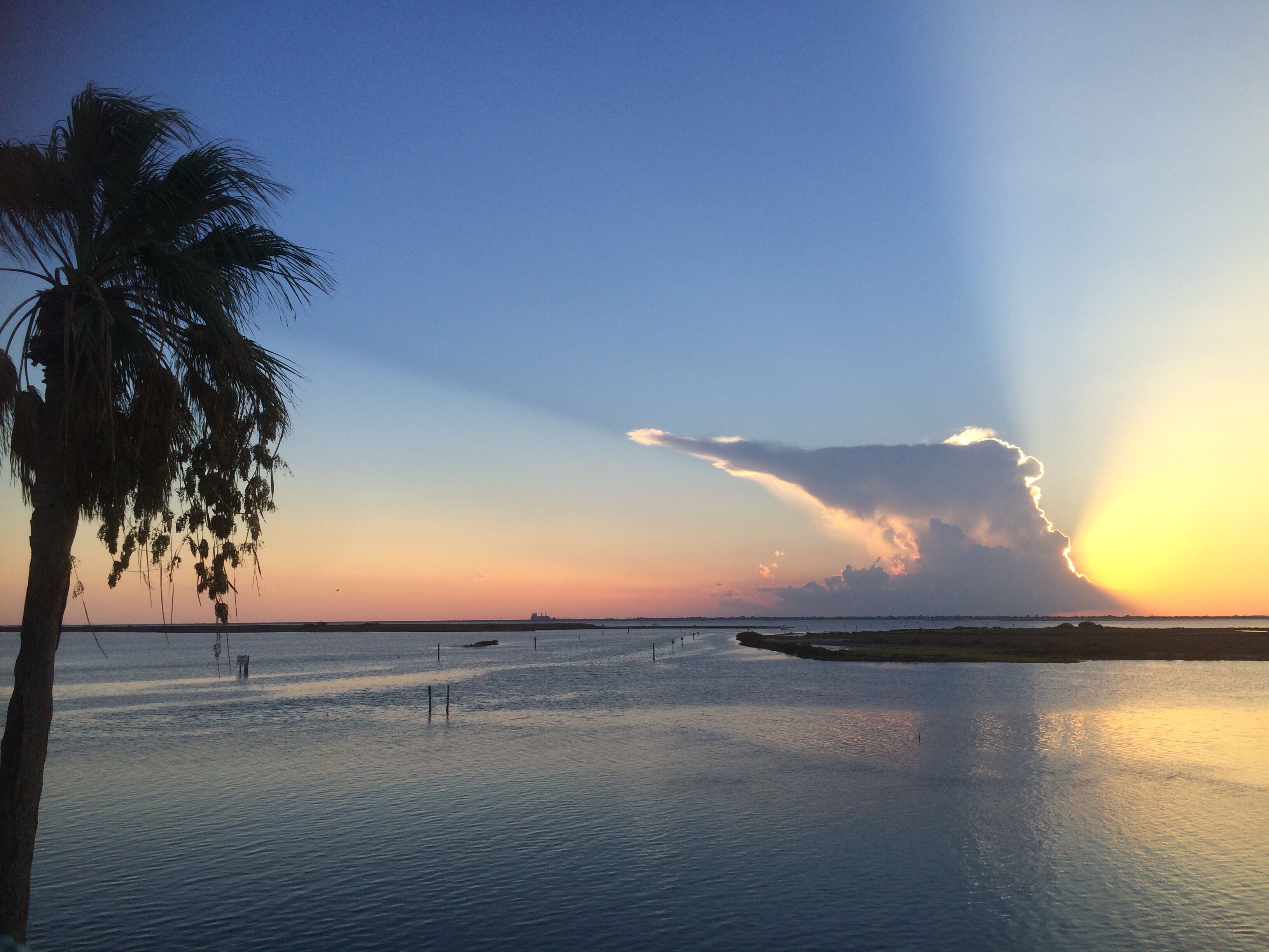 Una distesa d'acqua tranquilla, con una palma sulla sinistra e un tramonto sullo sfondo.