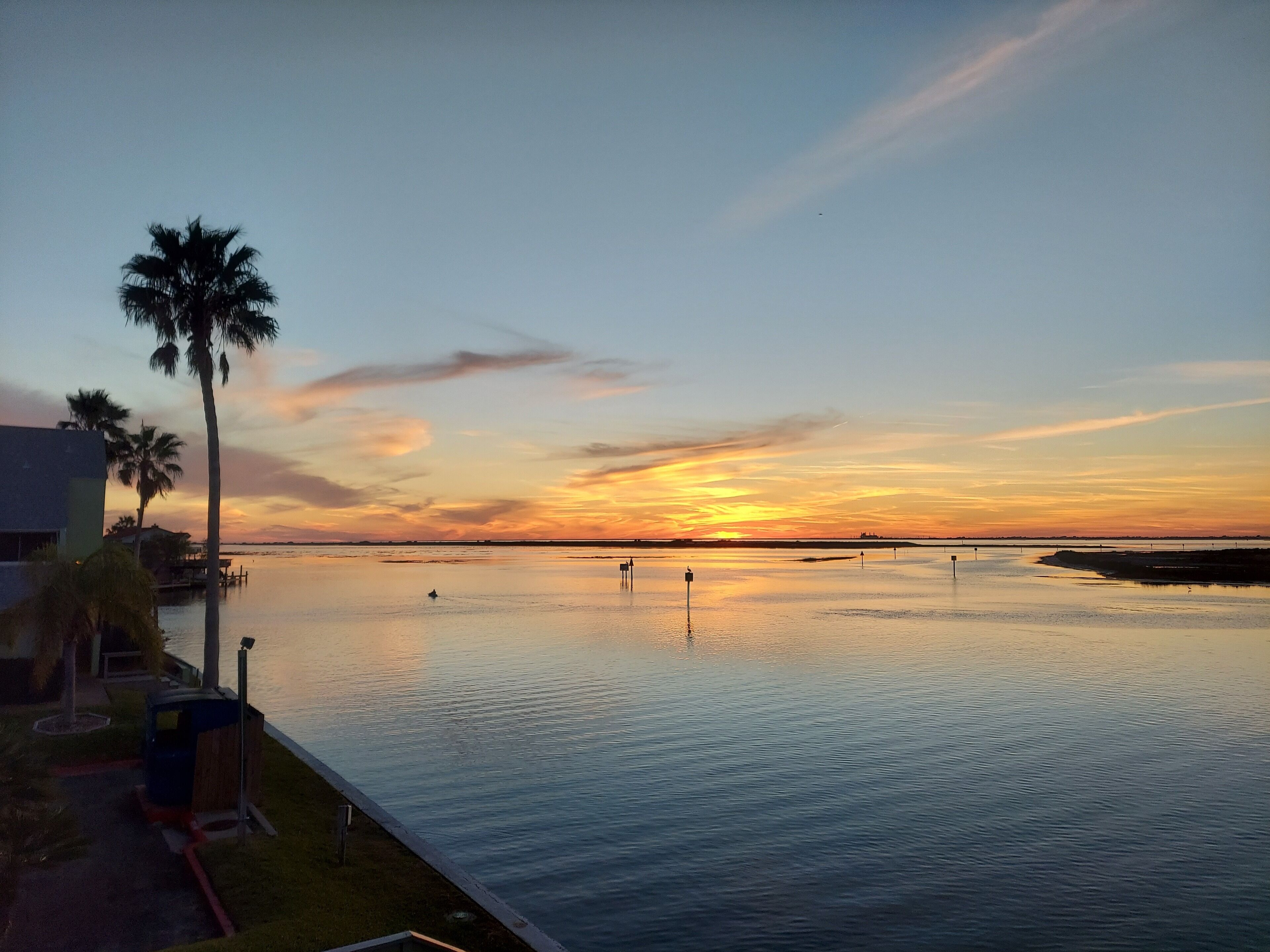 A waterfront view with a sunset, palm trees, and a calm body of water.