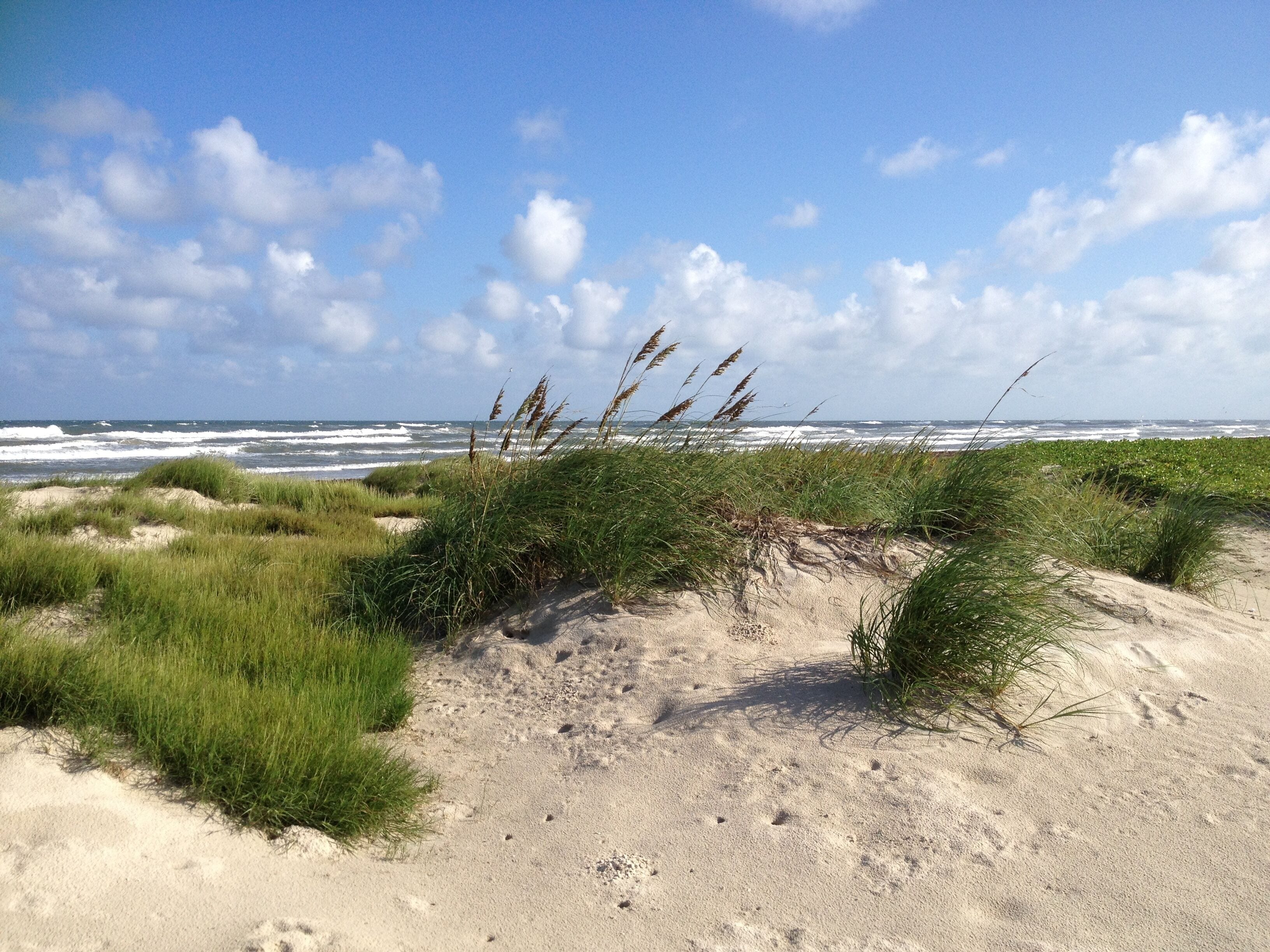 A sandy beach with dunes and grass, leading to the ocean.