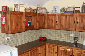 Full-size fridge, microwave, stovetop, dishwasher