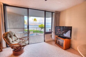 TV, DVD player, video library, stereo