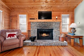 Smart TV, fireplace, books