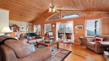 Smart TV, chimenea y libros