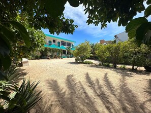 Un pati amb un edifici al fons, envoltat de verdura i plantes.