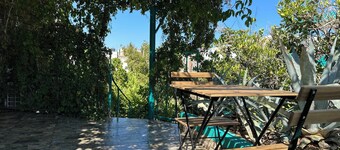 CABO BOHEMIA Tropical Garden Studios