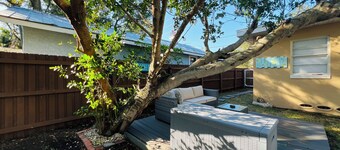 Strandliv ved Clearwater