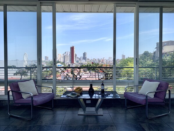 Deluxe Apartment | View from room